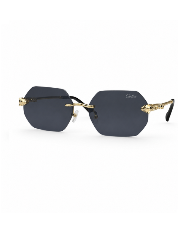 Lentes Cartie r