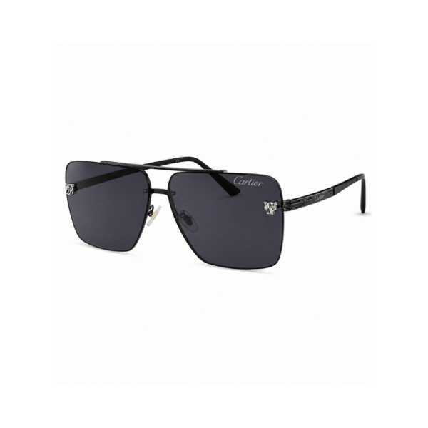 Lente Cartie r