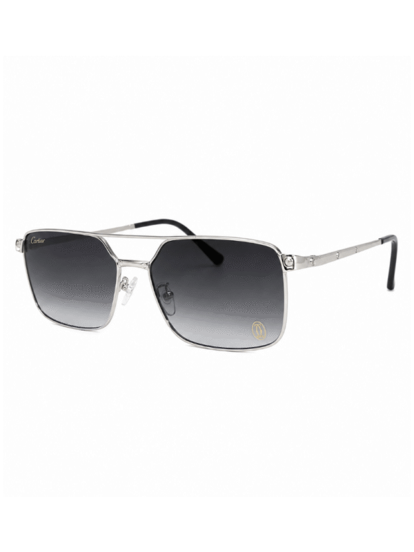 Lente Cartie r